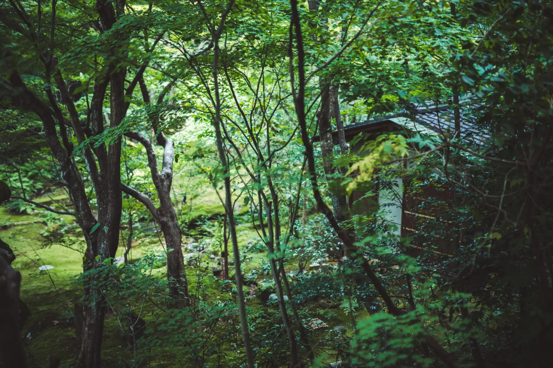 4 Beniya Mukayu Forest Garden © Nippon Design Center Inc